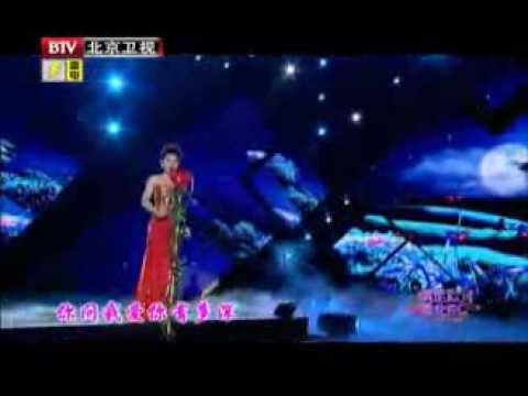 王静 月亮代表我的心 2013北京七夕歌会