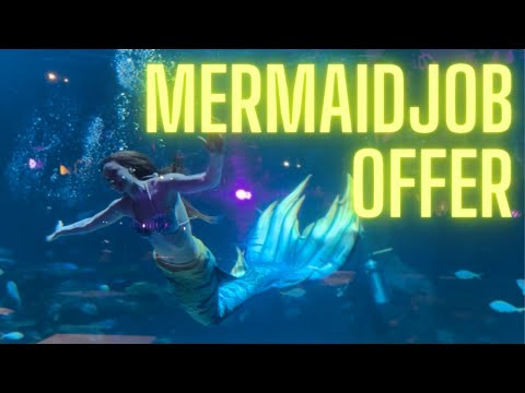 Mermaid Job Offer China