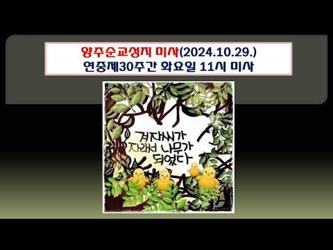 양주순교성지 미사(연중제30주간 화요일 11시미사 2024.10.29.)