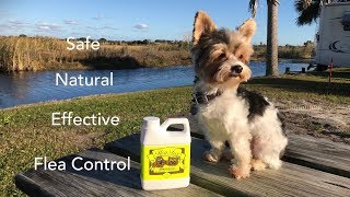 Flea Free Naturally - Michelines Pups