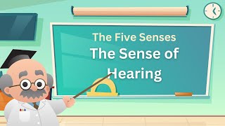 Sense of Hearing - Children's Educational Video Kids Learn About The Five Senses #kidslearningvideo