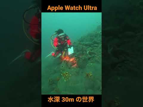 Apple Watch Ultra x 水深 30m の世界 (GoPro HERO11 で撮影) #shorts