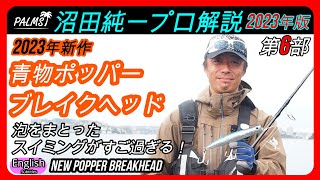 【2023最新】青物ポッパー ブレイクヘッドの魅力と使い方パームス沼田純一プロの実演解説6　　トップルアーの必要性　ショアジギング　ショアプラッギング