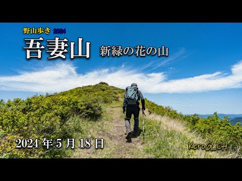 【吾妻山－新緑の花の山－】野山歩き2024