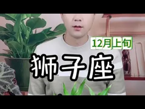 狮子座12月上旬感情走向 狮子座12月上旬感情走向狮子座 星座运势