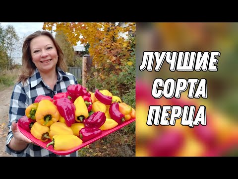 ЛУЧШИЕ СОРТА И ГИБРИДЫ СЛАДКОГО БОЛГАРСКОГО ПЕРЦА 2022 | ПОСЕВ ПЕРЦА, 18+