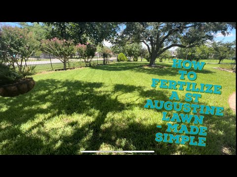 How to Fertilize a St Augustine Lawn - Made Simple