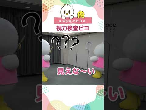 【ピヨ丸】視力検査　#Shorts #ピヨ丸 #視力検査