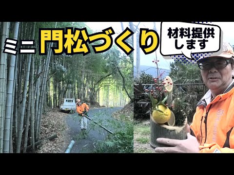 竹を切り出して「ミニ門松」づくり！作りたい方に材料をお届けします