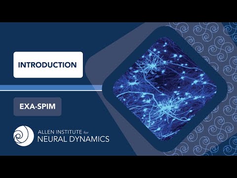 Introduction | ExA-SPIM