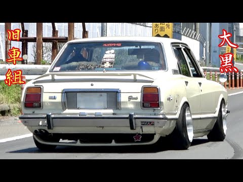 【大黒PA 】旧車組‼️素敵なブタ目などOld Car Japan🇯🇵