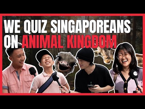 Wild Encounters: Singaporeans Put Their Animal Kingdom IQ to the Test! | Uncover65 Asks EP 46