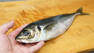 鯵（アジ）のさばき方と刺身の作り方  Horse mackerel sashimi