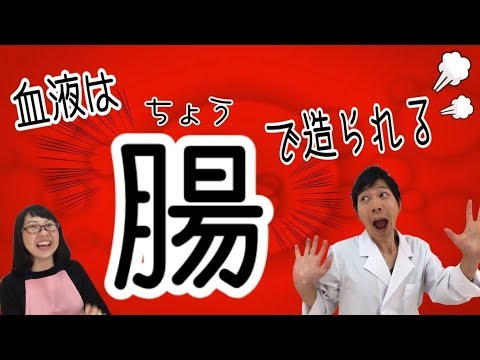 血液は骨髄ではなく腸で造られる!? 食べた物は血となり肉となる！！