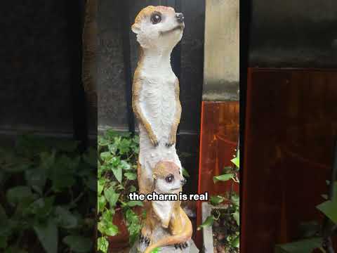 Quirky Garden Upgrade! Meerkat Garden Statue🦡🌼