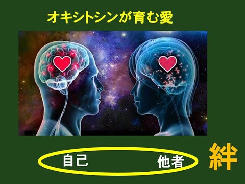 オキシトシンの生理作用　〜愛とは一方的な自己犠牲か？