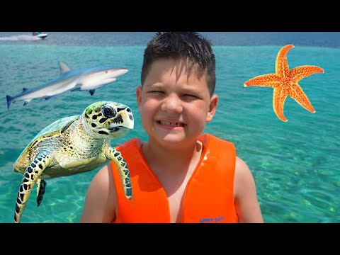 Caleb SWIMS with SHARKS, SEA Turtles, STARFISH and Snails in the OCEAN!