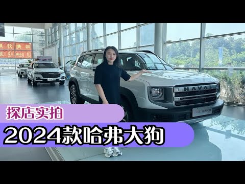 2.0T+9DCT，两种动力组合可选择，2024款哈弗大狗郑州到店实拍