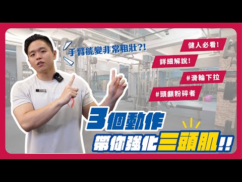 超詳細三頭訓練必備動作解析!｜三頭訓練乾貨｜三頭肌訓練菜單｜健美訓練｜訓練紀錄 | Triceps Training | 摩爾健美隊