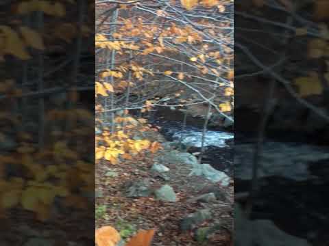 Waterfall Hiking