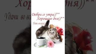 ДОБРОЕ УТРО #открытка #открыткадоброеутро #открыткабабушке #открыткамаме #доброеутро #одноклассники