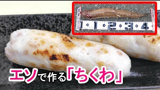 【いもっちです！】エソが釣れたら「ちくわ」を作ろう～実はおいしい。高級魚。～