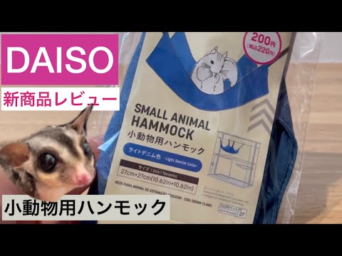 新商品【ダイソー】小動物用ハンモックが出たのでフクロモモンガに買ってみた