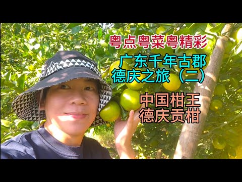 粤点粤菜粤精彩，广东千年古郡德庆之旅（二），中国柑王德庆贡柑，粤语中字幕2024-12-5