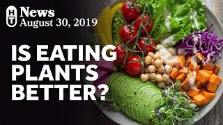 New Research On Plant-Based Diets and Mortality