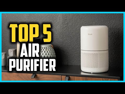 Top 5 Best Air Purifier For Bedroom of 2024