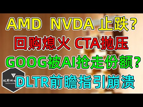 美股 AMD、NVDA止跌形态！CTA、回购，压力来了！GOOG被AI抢走搜索份额？DLTR前瞻指引崩溃！