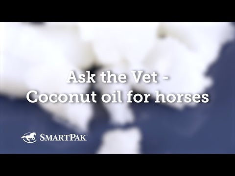 Ask the Vet - Coconut oil for horses