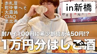 【新橋】1万円で居酒屋何軒はしご酒出来るのか？【赤札屋、町中華へそ、大露路、CIAO、恵比寿天下一】