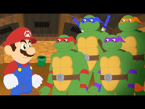 Ninja Turtles vs Mario