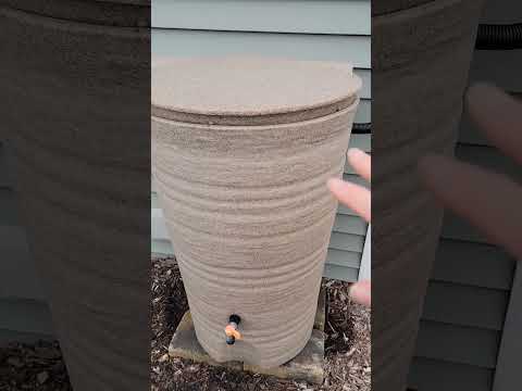 A tip if you have rain barrels in freezing climates