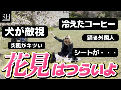 人生初の花見をしたらカオスすぎた【桜とこぶちゃと東京タワーと】