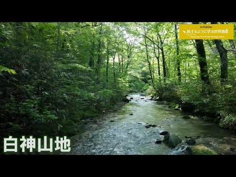 旅するように学ぶ世界遺産（短縮版）『白神山地』