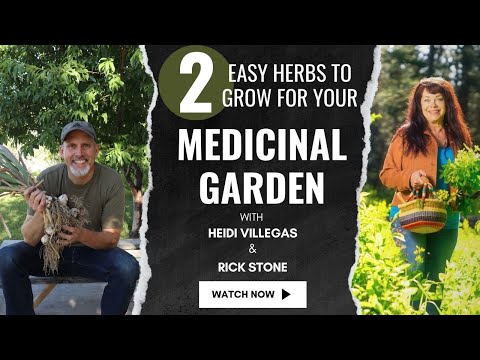 2 Easy Herbs to Grow for your Medicinal Garden with Heidi Villegas