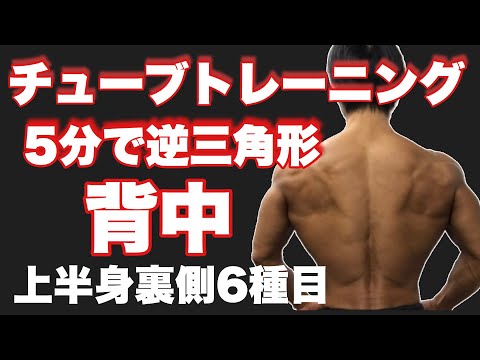 1日5分で逆三の背中作りサーキットトレーニング！！