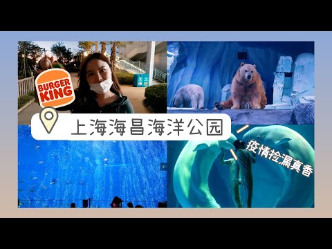 疫情期重大捡漏！ | 上海海昌海洋馆 | 上镜的动物们 | 汉堡王居然没有东西吃？ Part 2