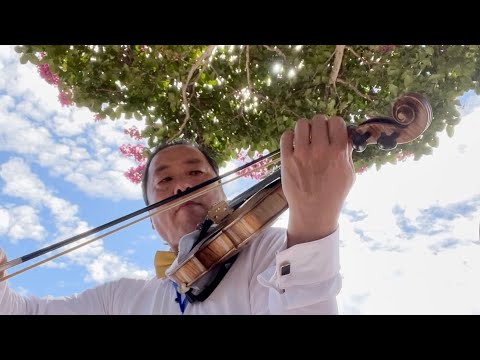 2021年大年三十，现场版小提琴演奏[月亮代表我的心]/2021 New Year, live version of the violin [Moon represents my heart]