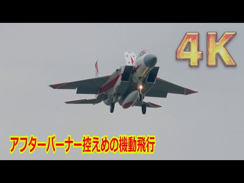 【4K】天候の関係かな！？F-15J 特別塗装機（初号機）アフターバーナー控えめの機動飛行訓練/岐阜基地航空祭2024 事前訓練 2024/11/14【航空自衛隊】