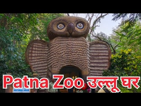 Patna Zoo उल्लू घर #patnazoo #zoo