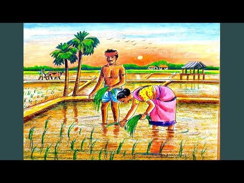 How to draw scenery of Village cultivation  step by step/Village cultivation scenery drawing