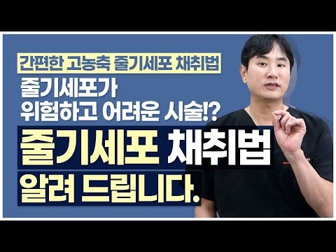 간편하게 고농축 줄기세포 채취하는 방법, 줄기세포 채취 더이상 어렵지 않습니다! 골수, 지방, 혈액 각각의 특징과 장단점