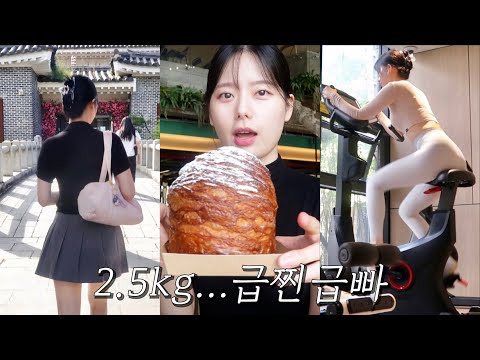 2.5kg 살쪄 돌아온 경주여행 급찐급빠 브이로그, 유산소 운동