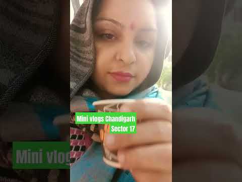 Chandigarh sector 17 mini vlogs #indianyoutuber #ytshorts #shortsfeed #viralshort