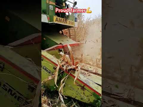 #viralvideo #cornharvesting #indianfarmer #farminginindia #farmerlife #farmer #harvesting #shots