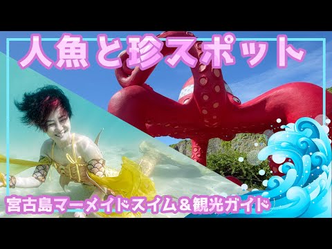 【珍スポ】宮古島マーメイドスイム＆B級スポット【完全観光ガイド】