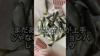 釣った小アジで南蛮漬けと唐揚げを作りました！ゼイゴは取らなくてもいいくらいのサイズだったので取らずにそのまま揚げました！